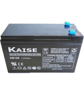 BAT.AGM(PB-AC)12V 9,0AH TERM. 250-KB1290F2