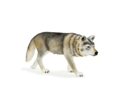 Figura Lobo 