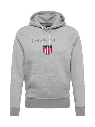 GANT Sweatshirt  acinzentado