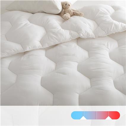 Interieurs Edredon duplo Nature 4 estações, 175 g/m² + 300g/m²