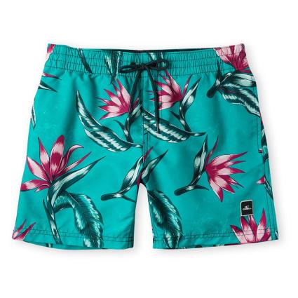 O´neill Shorts De Natação Print 164 cm Blue All Over 6