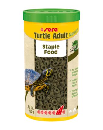 Sera Turtle Adult Nature