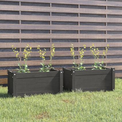 Vasos/floreiras Jardim 2 pcs 60x31x31 cm Pinho Maciço Cinzento
