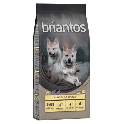 Briantos Junior frango e batata - SEM CEREAIS - Pack económico: 2 x 12 kg
