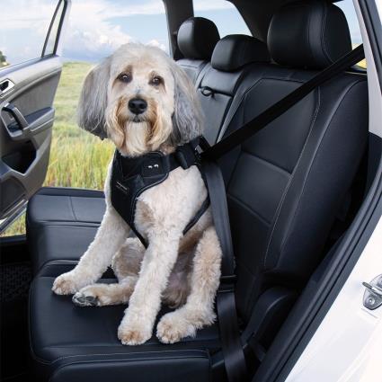 Cinto de segurança à prova de acidentes Kleinmetall DogMaster 2.0 - Tamanho M: para cães de porte médio