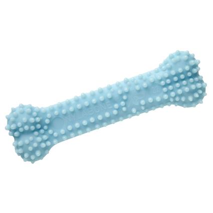 Nylabone osso para dentes para cachorros - C 9,5 cm x L 3 cm x A 1,5 cm