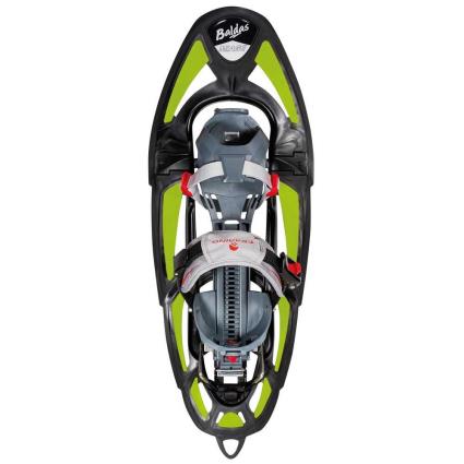 Ferrino Raquetes Neve Miage Special EU 34-48 Green