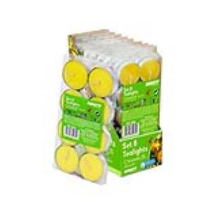 TEALIGHTS CITRONELA Ø3.8CM