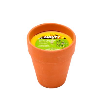 VELA VASO CITRONELA 10-15H Ø8X9CM 95001