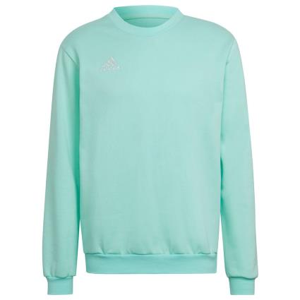 Adidas Sudadera Entrada 22 Stadium Sw S Clear Mint