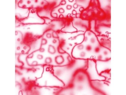 CD Gonno - Remember The Life Is Beautiful