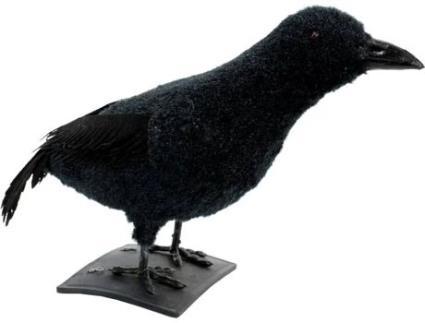Decoração de Halloween LOLAHOME Corvo Preto (29x12x24 cm - Foam)