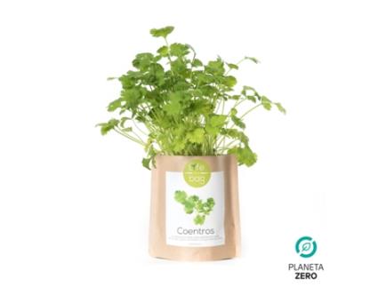 Grow Bag Coentros Life In a Bag