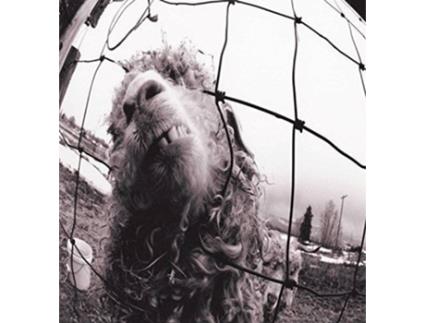 CD Pearl Jam - Vs. (Expanded Edition)