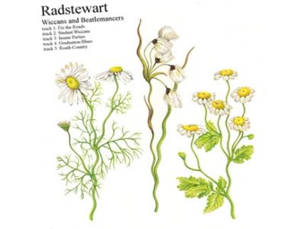 CD Radstewart - Wiccans And Beatlemancers