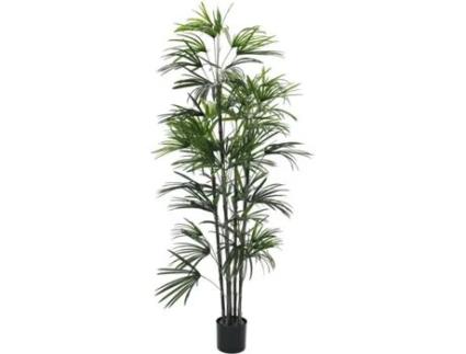 Planta Artificial EUROPALMS Fan Palm Seedling (Verde - 150 cm)