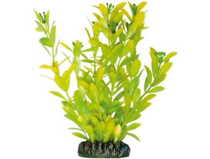 Adorno AQUATIC PLANTS Higrófila Polisperma (94 gr)