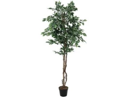 Planta Artificial EUROPALMS Variegated Ficus (Verde - 180 cm)