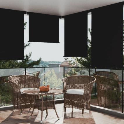 vidaXL Toldo lateral para varanda 117x250 cm preto