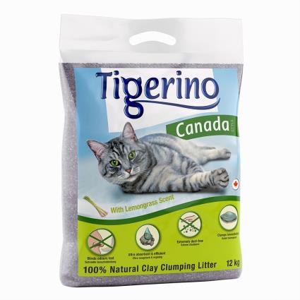 Tigerino Canada Style areia aglomerante - aroma a citronela - Pack económico: 2 x 12 kg
