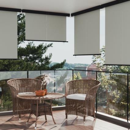 vidaXL Toldo lateral para varanda 160x250 cm cinzento