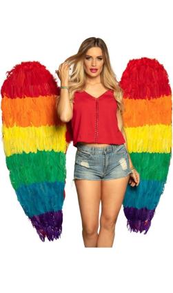 Asas Maxi grandes com Arco íris