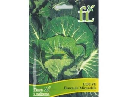 Semente CASA CESAR SANTOS Couve Penca Mirandela