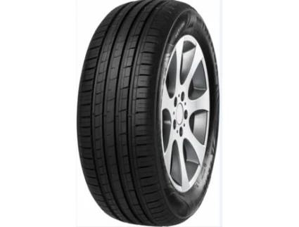 Pneu MINERVA F209 195/55 R16 91V