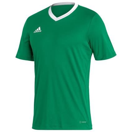 Adidas Camiseta Manga Corta Entrada 22 2XL Team Green / White