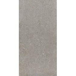 Pavimento cerâmico FREESTONE CINZENTO ESCURO 30X60CM