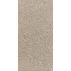 Pavimento cerâmico FREESTONE BEGE ESCURO 30X60CM