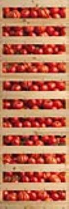 Sticker decorativo TOMATE