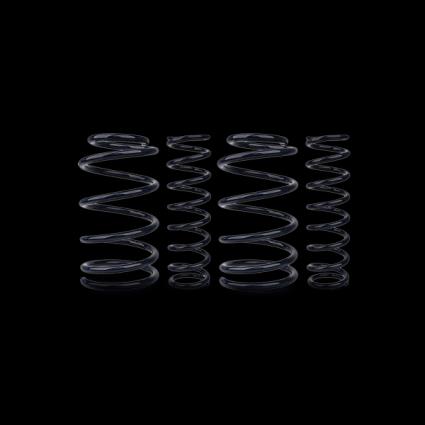 EIBACH Kit de suspensão, molas FORD E10-35-004-03-22