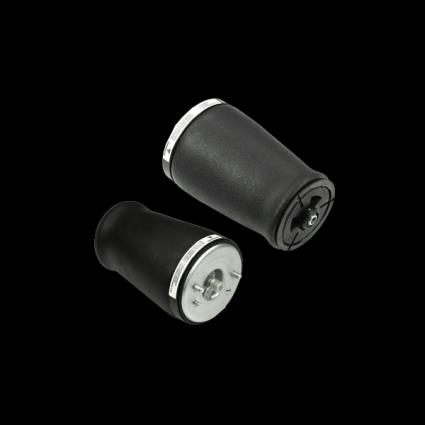 Arnott Mola pneumática, chassis MERCEDES-BENZ A-2801 6393280101,6393280201,6393280301  A6393280101,A6393280201,A6393280301