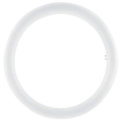 Tubo circular LED T9 20W 4000K