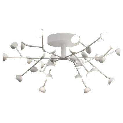 Plafon ADN LED BRANCO