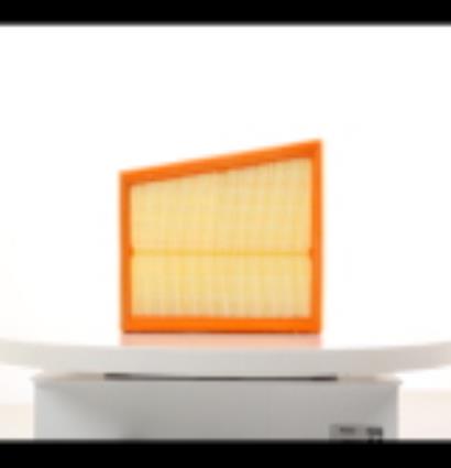 PURFLUX Filtro de Ar RENAULT,NISSAN A1317 J1321063,16546JD20A,16546JD20B  16546JG70A,165466131R,16546JD20B,8660003117