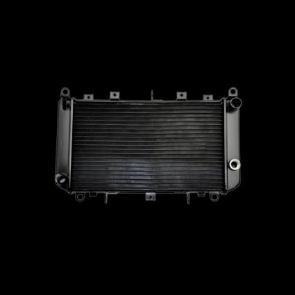 AKS DASIS Radiador MERCEDES-BENZ 121170N 2105003203,2105006603,A2105003203 Radiador, arrefecimento do motor A2105006603
