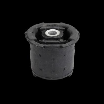 SASIC Bucha de Eixo PEUGEOT,CITROËN 1525625 515262,515264,515262 Suspensão, corpo do eixo