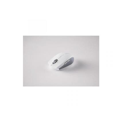 Mouse Pro Click Mini