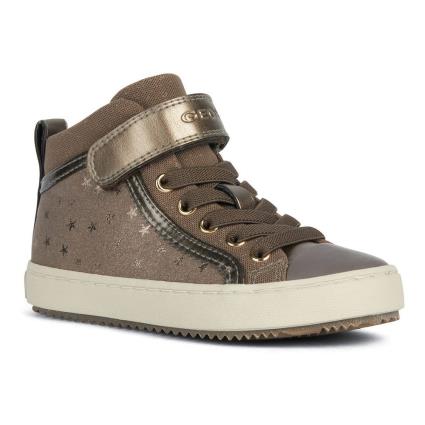 Geox Kalispera Shoes  EU 37