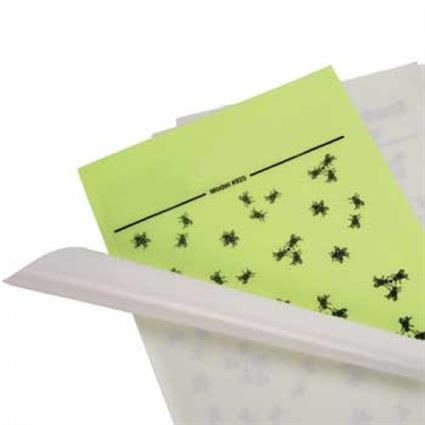 Recarga Adesiva Lamina de Insectos Para Exterminador 4X6UN