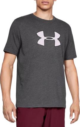 Camiseta Under Armour UA BIG LOGO SS
