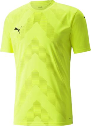 Camisola Puma teamGLORY Jersey