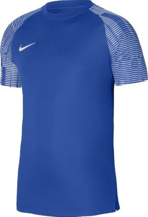 Camisola Nike  Dri-FIT Academy