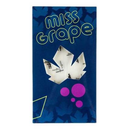 Miss Grape Protective Transparent Film
