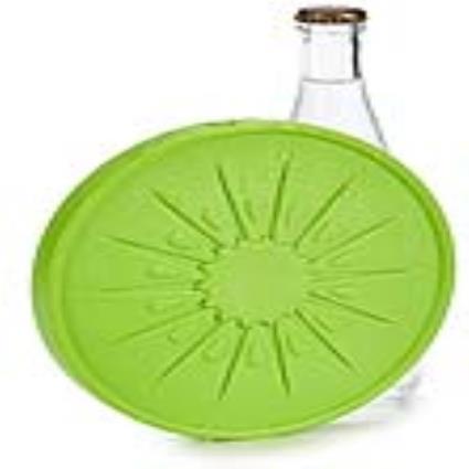 Acumulador de Frio Plástico (17,5 x 1,5 x 17,5 cm) Verde