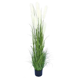 Planta artificial com vaso GRASS PLUMA 213CM