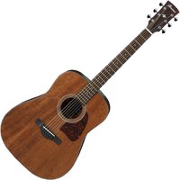 Ibanez AW54 Artwood Open Pore Natural