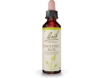 Suplemento Alimentar FLEURS DE BACH® ORIGINAL Floral De Bach De Castanha (20 ml de elixir floral)